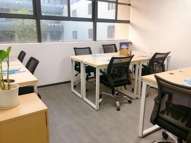 江阴发财树绿植零售